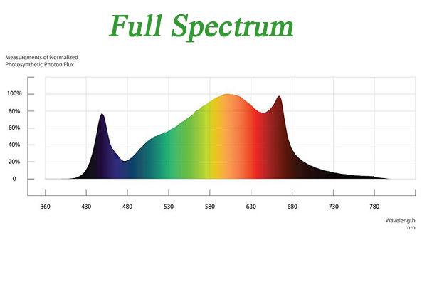 Full Spectrum-1