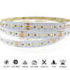 DC24V SMD2216 CCT Dual White 240-LED 10mm PCB 16.8W LED Strip Light