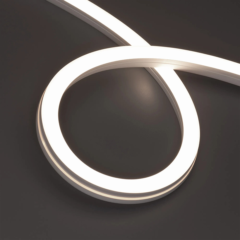 TIMES 1616S Neon Flex-1 800X800